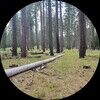 cache_cabin_nw